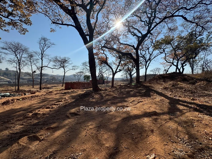 Prime Development Opportunity In Glenlorne