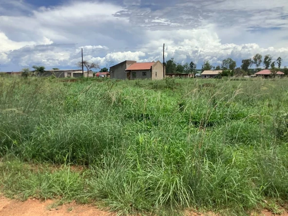 Stands & Residential Land