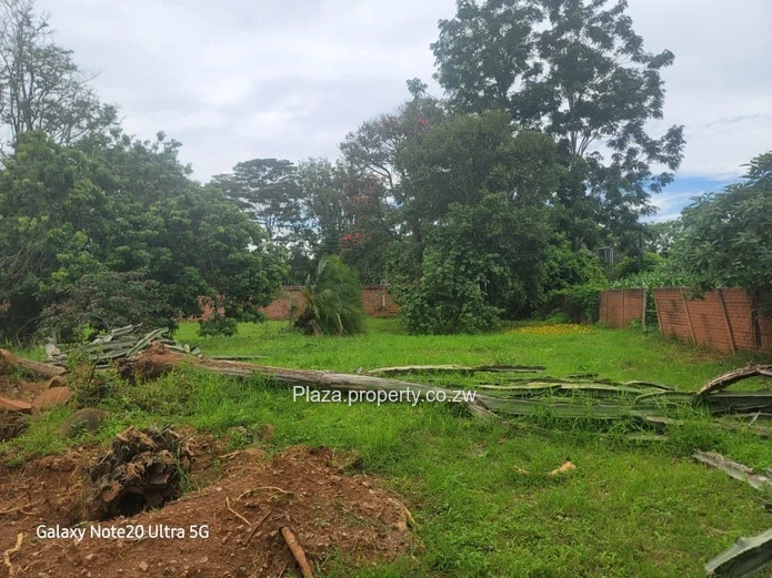 Secure your place in Borrowdale build at the top