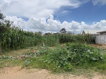 Stands & Residential Land