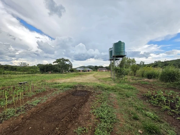 Farm & Agricultural Land