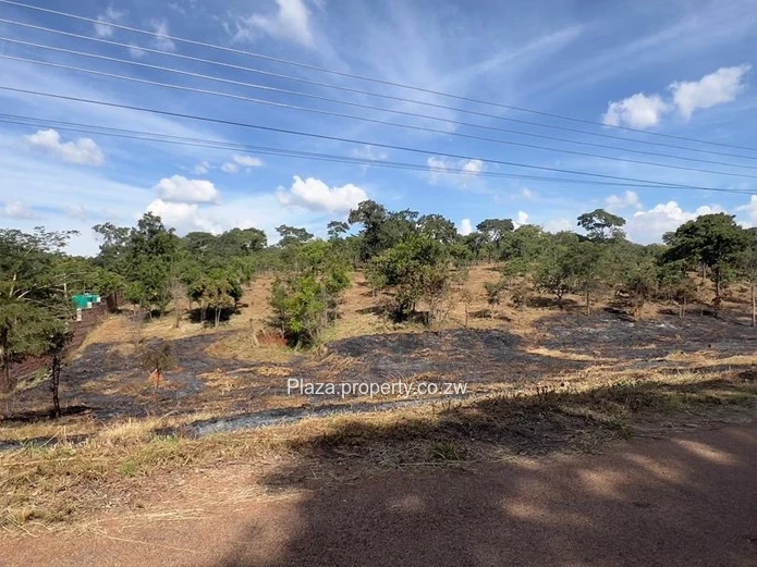 Where Vision Meets Land