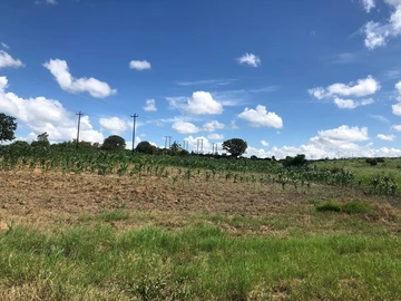 Commercial & Industrial Land