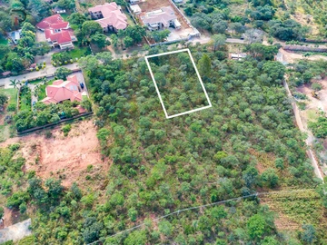 Stands & Residential Land