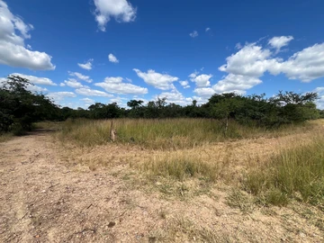 Farm & Agricultural Land