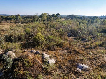 Farm & Agricultural Land