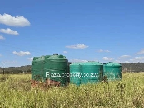 Prime 22 hectares- Kintyre Norton 
