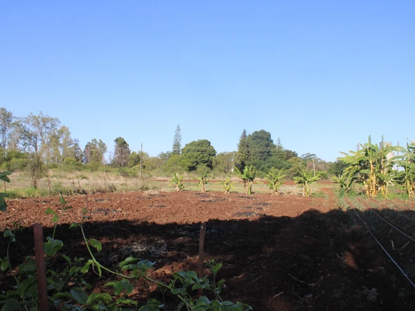 Commercial & Industrial Land