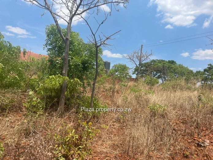 Stand For Sale – Norton, Knowe Phase 1