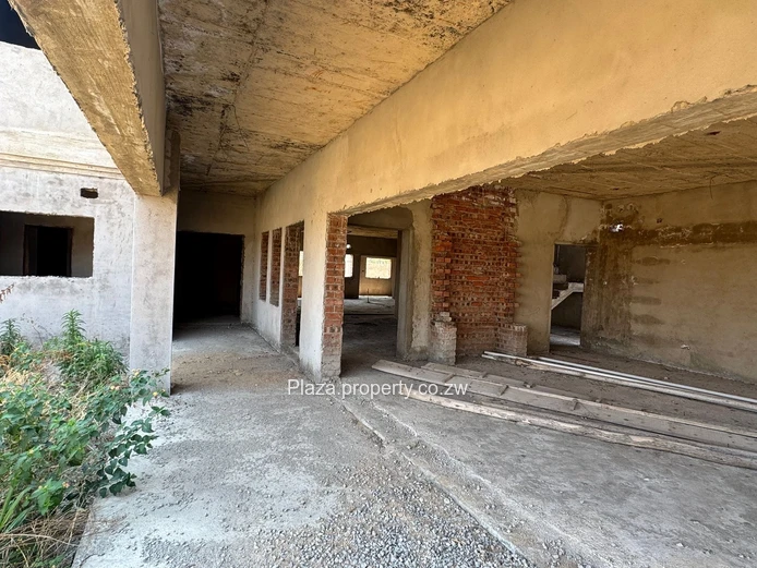 Arlington's Hidden Gem: A Majestic 7-Bedroom Estate Awaits Completion