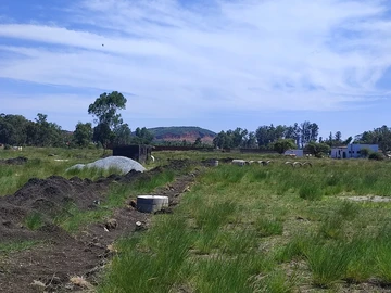 Stands & Residential Land