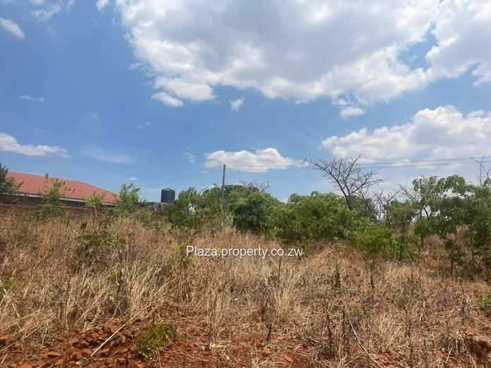 Stand For Sale – Norton, Knowe Phase 1