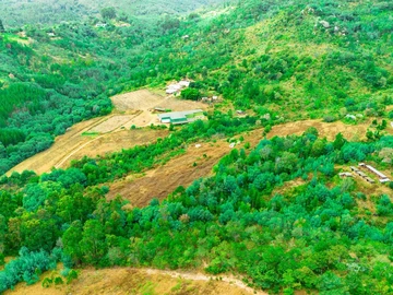 Commercial & Industrial Land