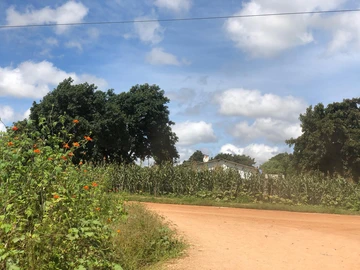 Stands & Residential Land