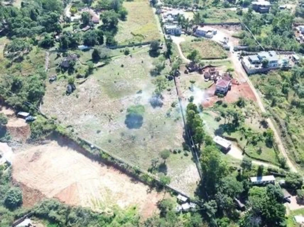 Stands & Residential Land