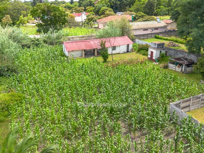 2000sqm Panhandle Stand With A Cottage In Athlone (Sole Mandate)