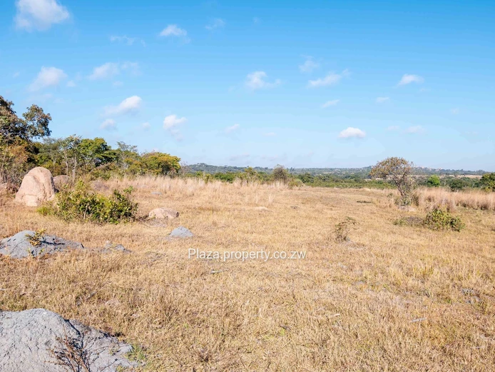 Marondera Prime 29-Hectare Farm – An Outstanding Investment Opportunity
