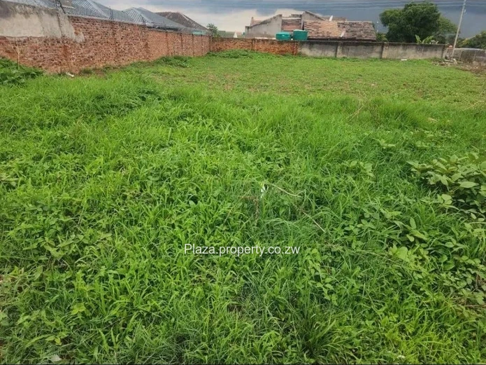 Prime opportunity in Old Zimre Park!
