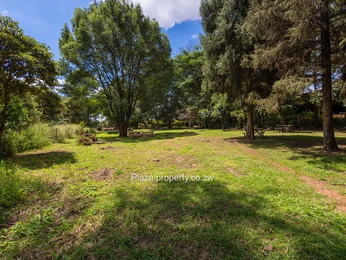 Property With Kirkman Rd Frontage!