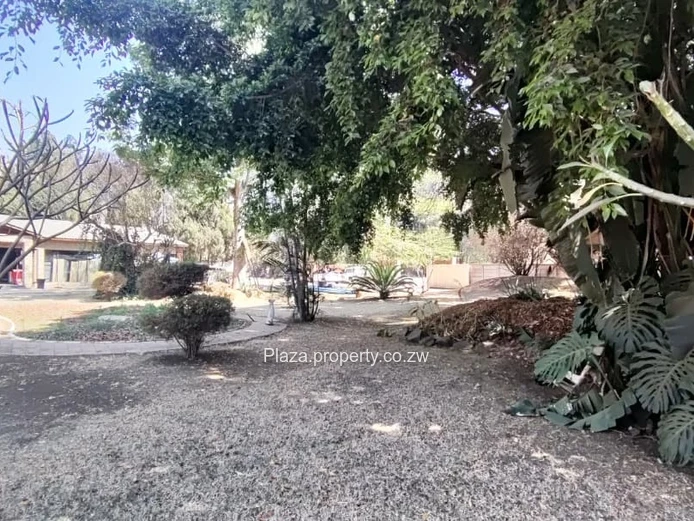 Office for Rent in Mount Pleasant